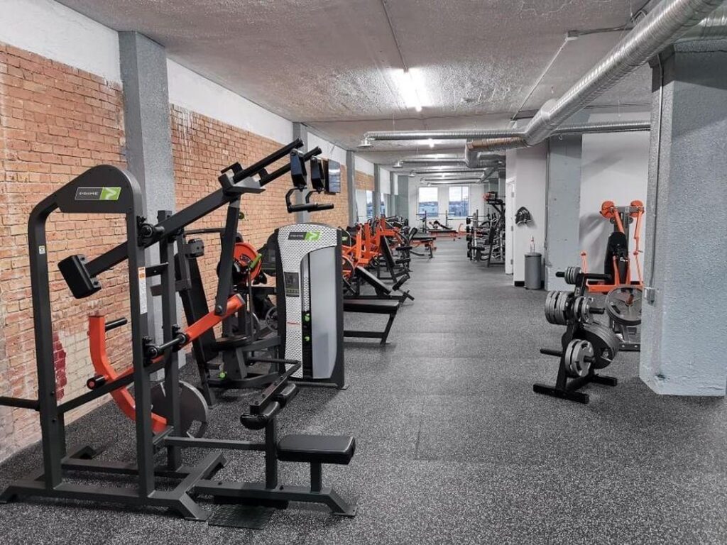 gym basics