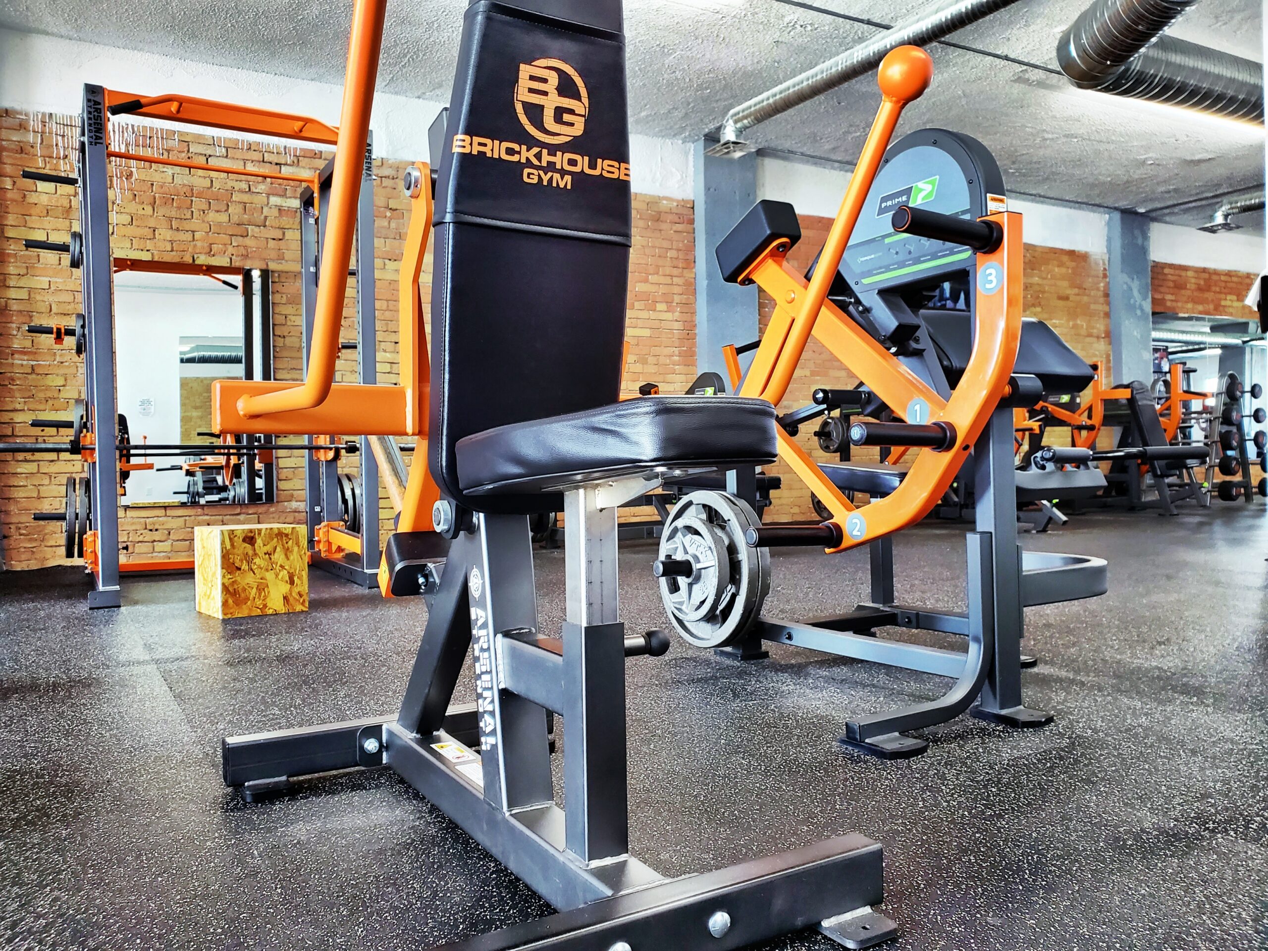 triceps & biceps training